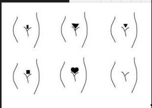 美女的阴毛图片,阴毛的优雅与自然